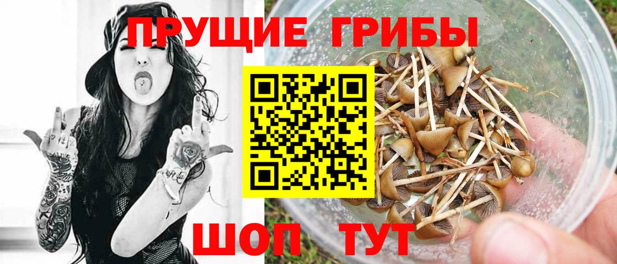 Псилоцибиновые грибы мухоморы  Вход с VPN  Сальск 